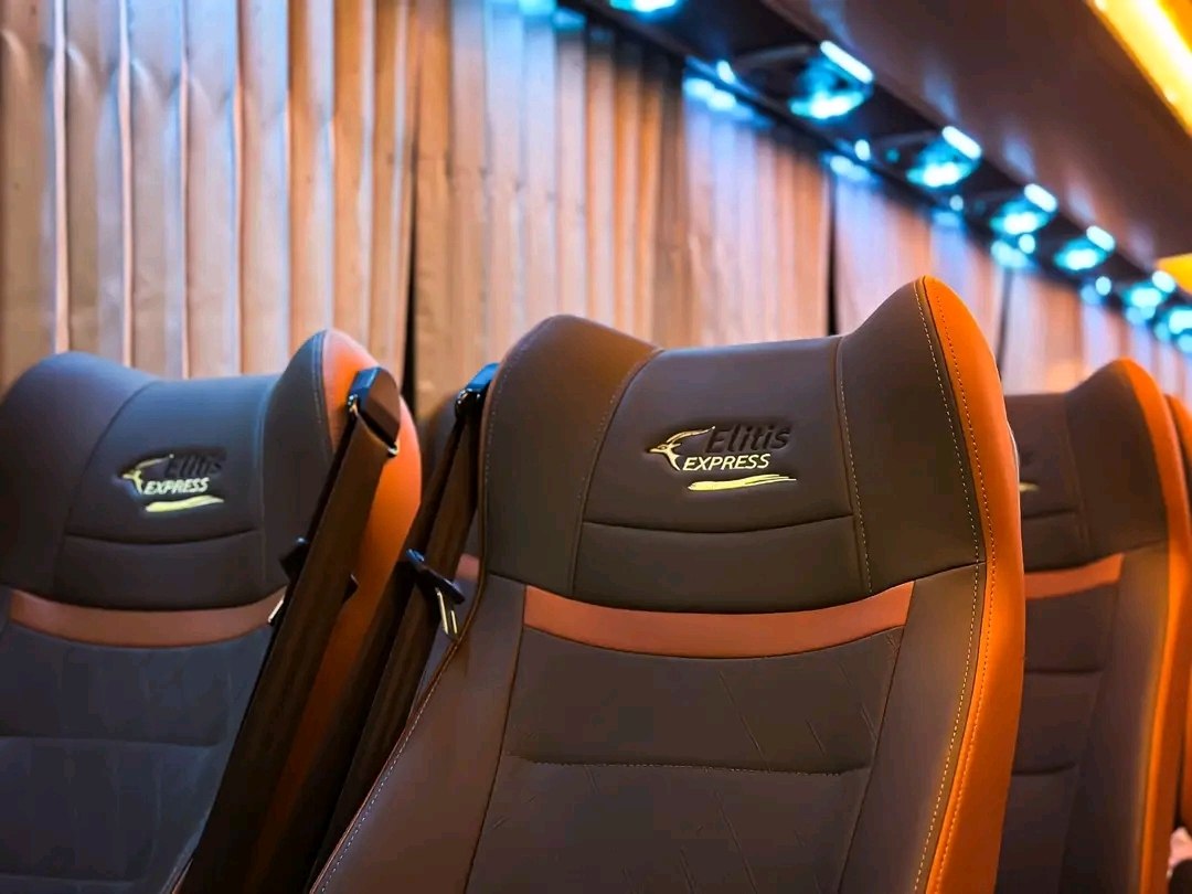 Détail siège Elitis Express avec logo gazelle